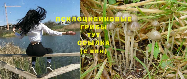 спиды Горняк