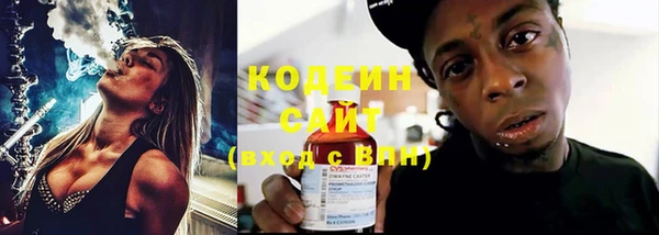 PSILOCYBIN Алагир