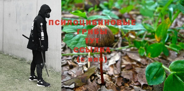спиды Горняк