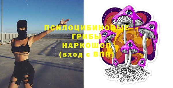 тгк Вяземский